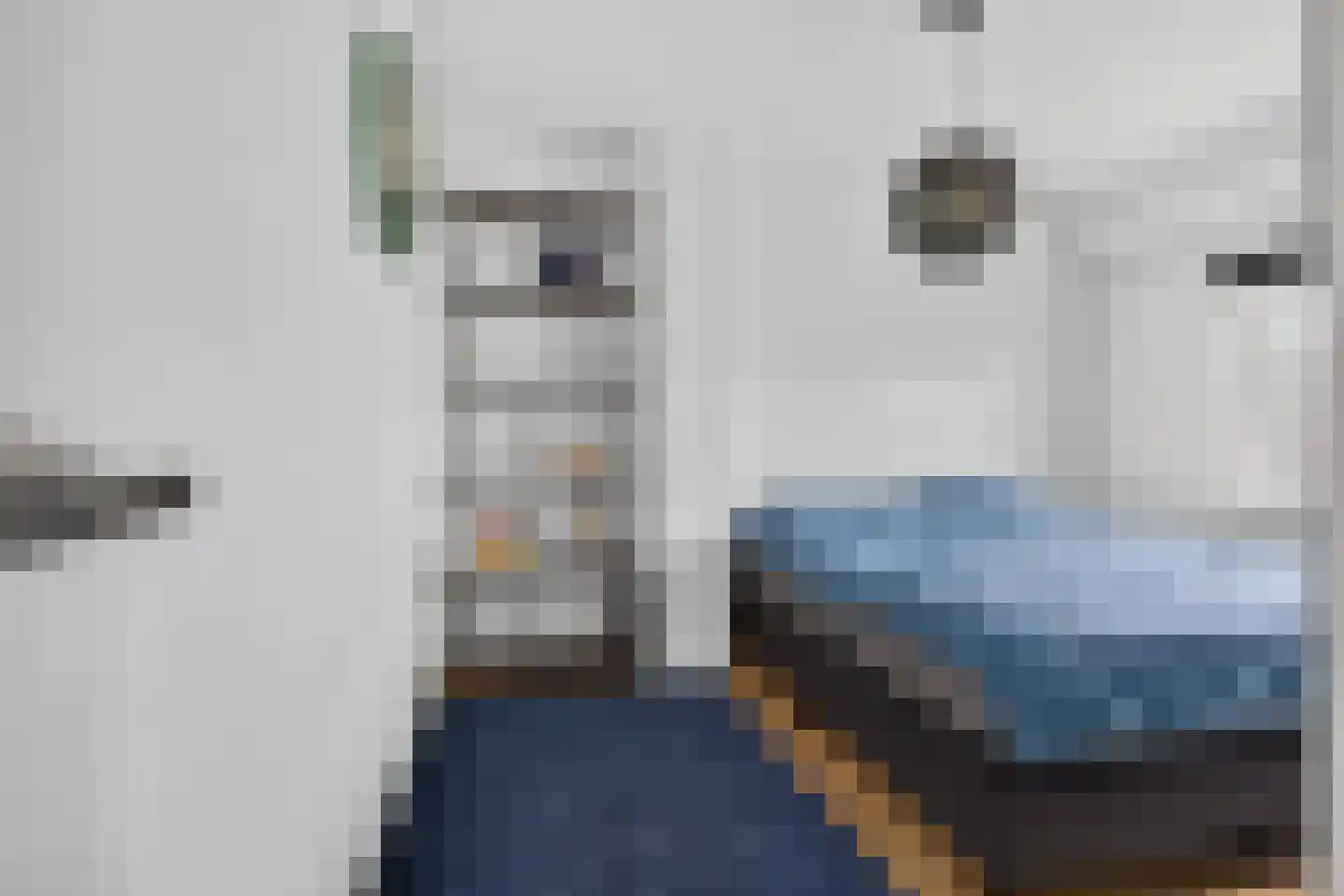 Appelbloesemstraat 8 Eindhoven thumbnail 23