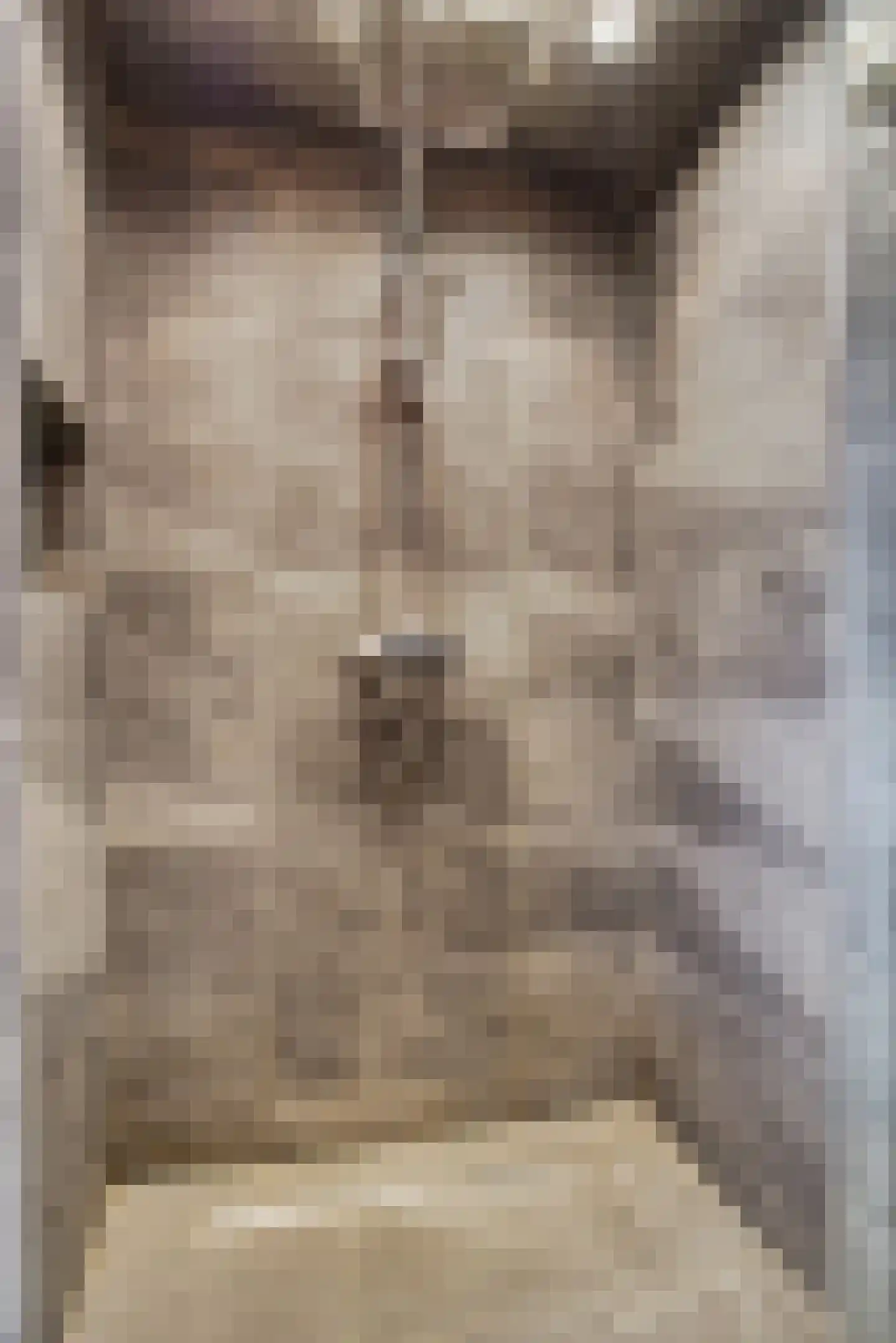 Appelbloesemstraat 8 Eindhoven thumbnail 33