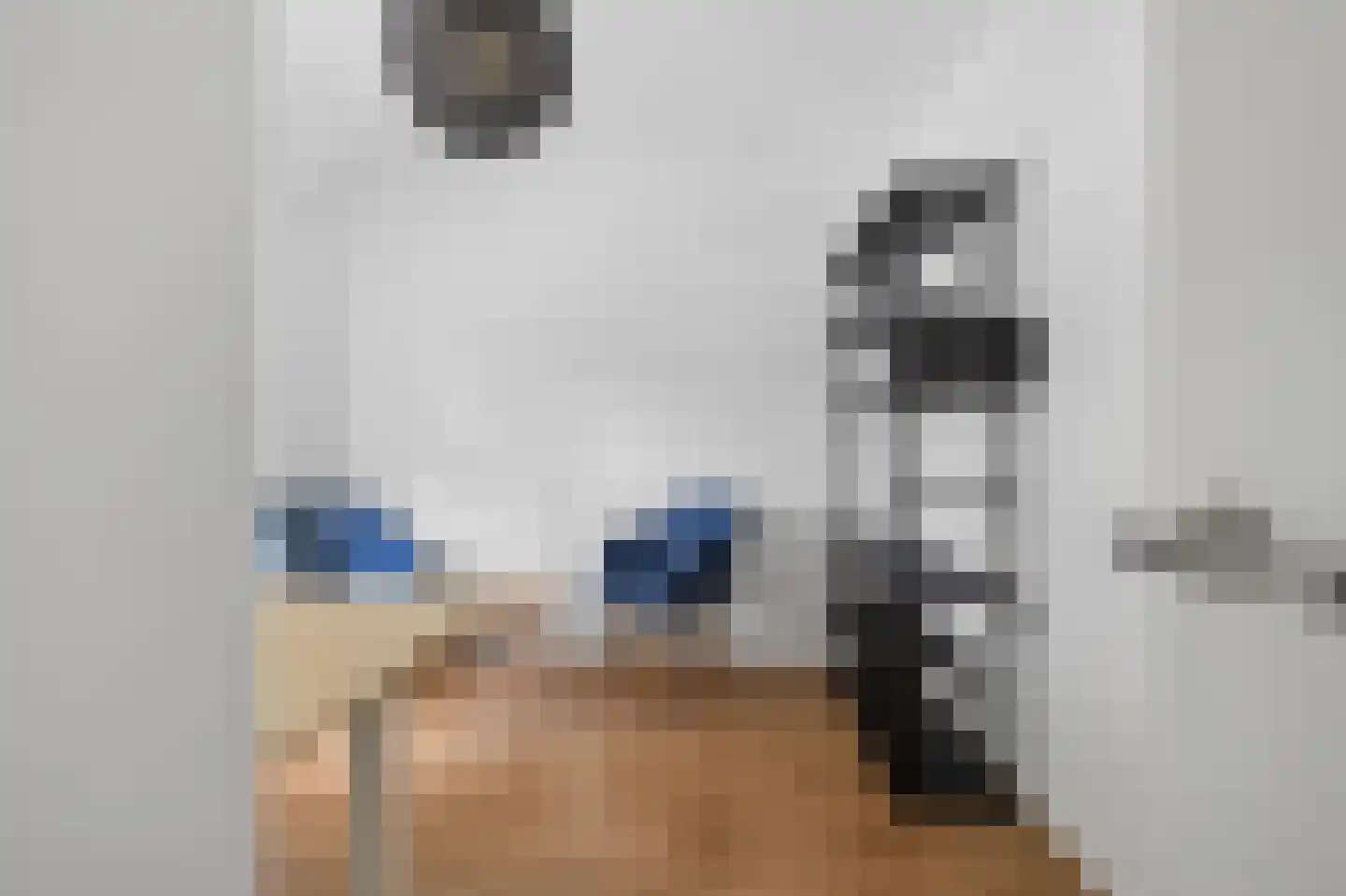 Appelbloesemstraat 8 Eindhoven thumbnail 34