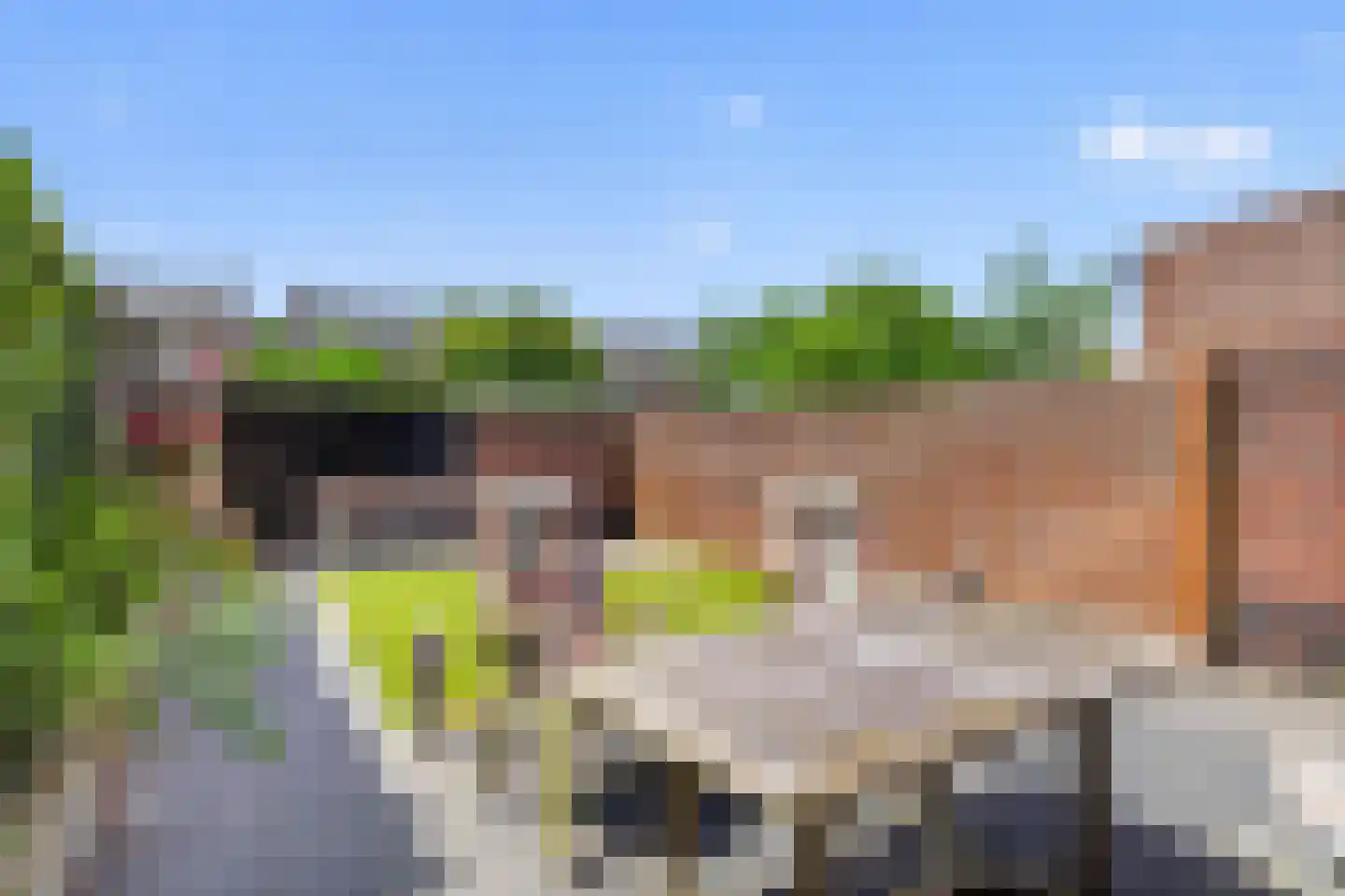 Appelbloesemstraat 8 Eindhoven thumbnail 40