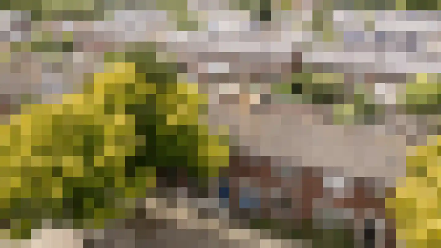 Appelbloesemstraat 8 Eindhoven thumbnail 49