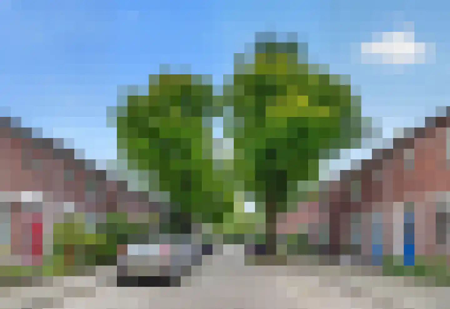 Appelbloesemstraat 8 Eindhoven thumbnail 5