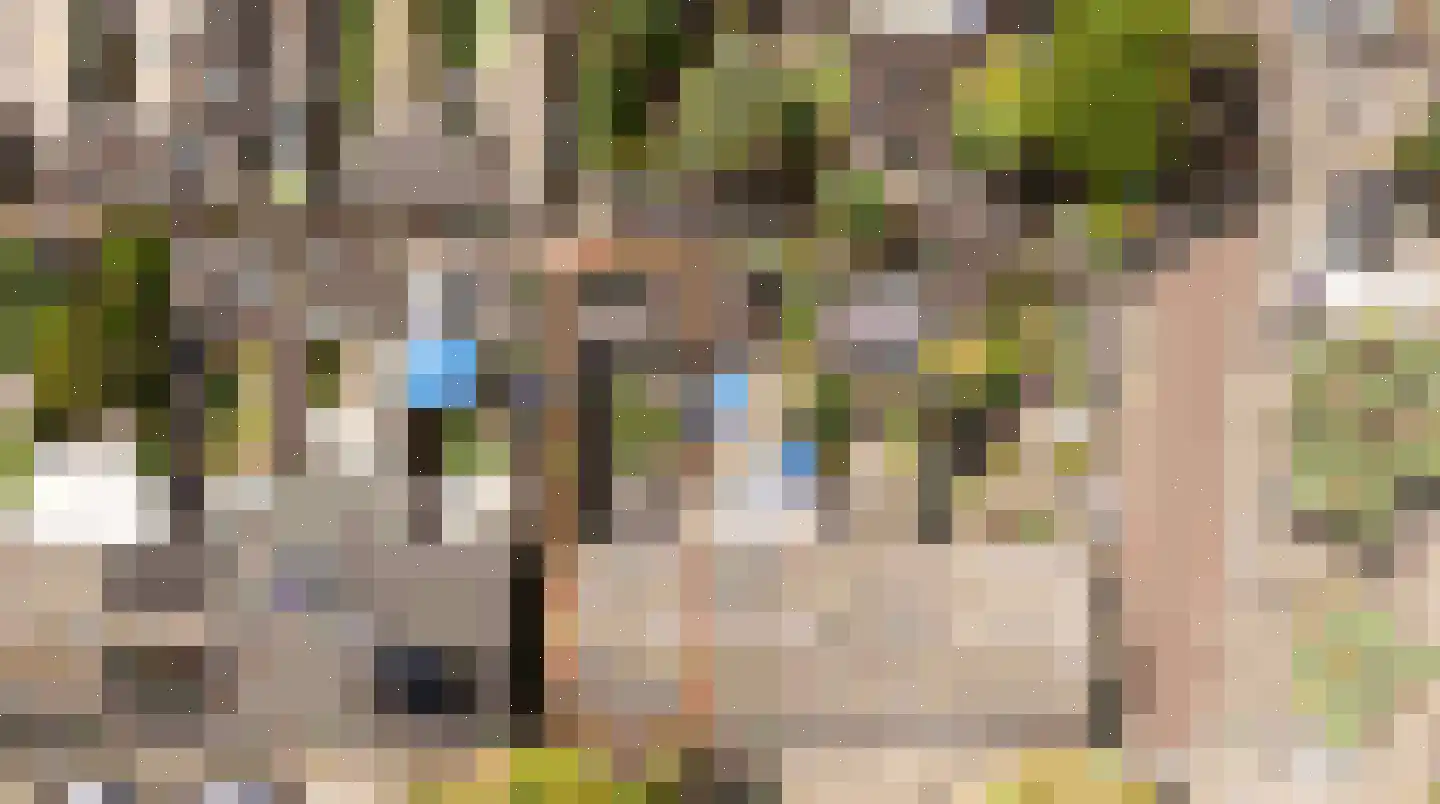 Appelbloesemstraat 8 Eindhoven thumbnail 51