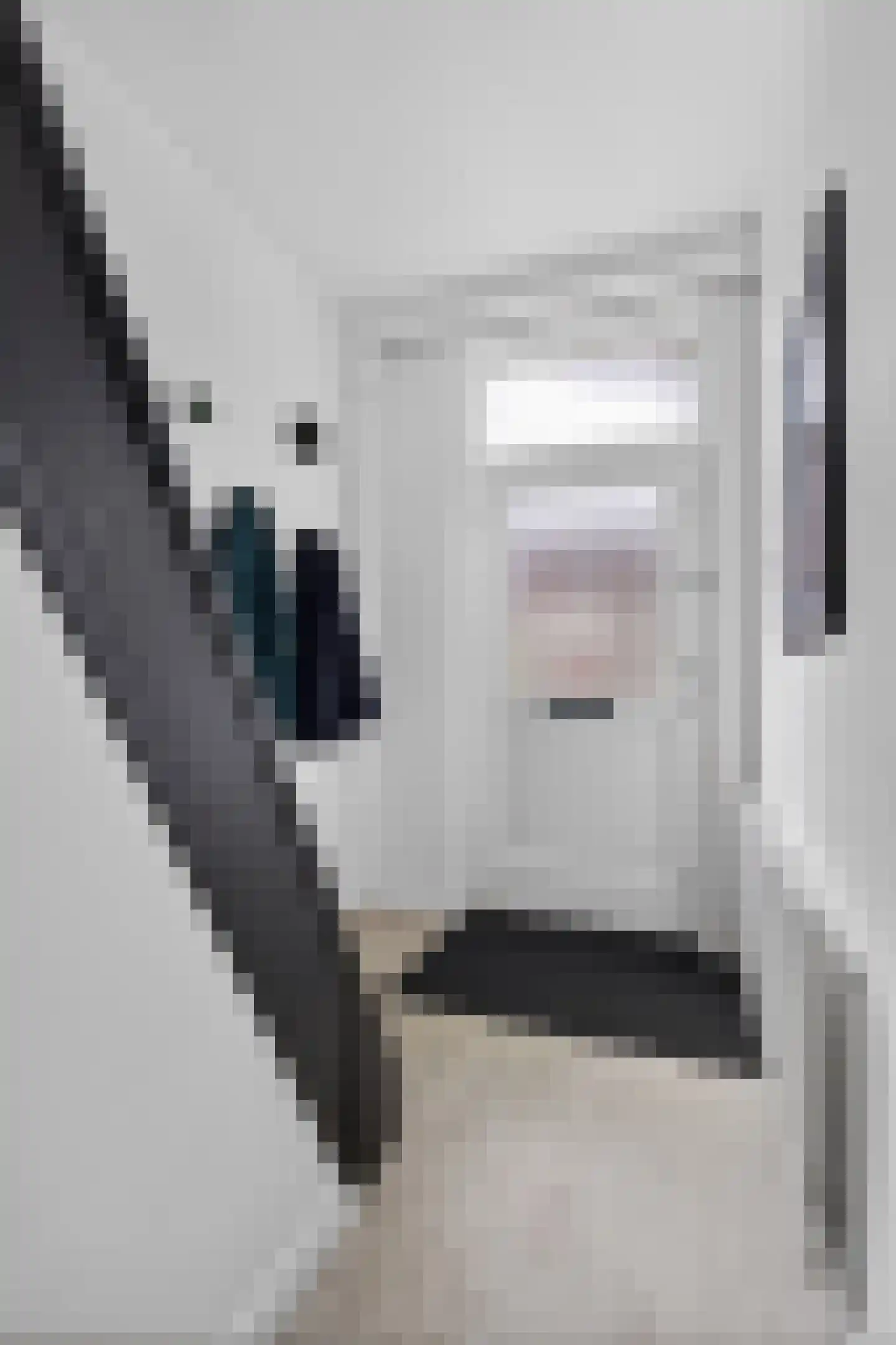 Appelbloesemstraat 8 Eindhoven thumbnail 7