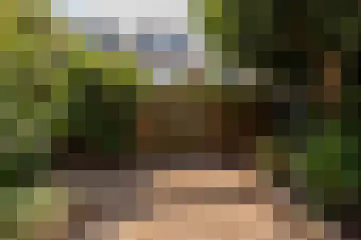 Appelboom 10 Culemborg thumbnail 12