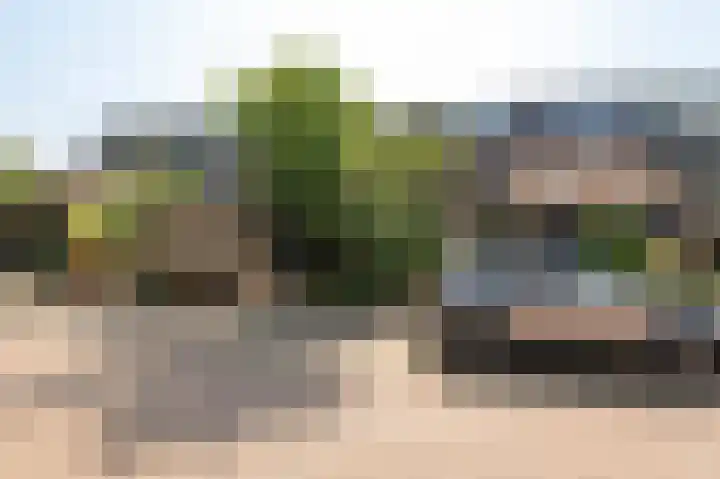 Appelboom 10 Culemborg thumbnail 16