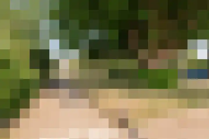 Appelboom 10 Culemborg thumbnail 30