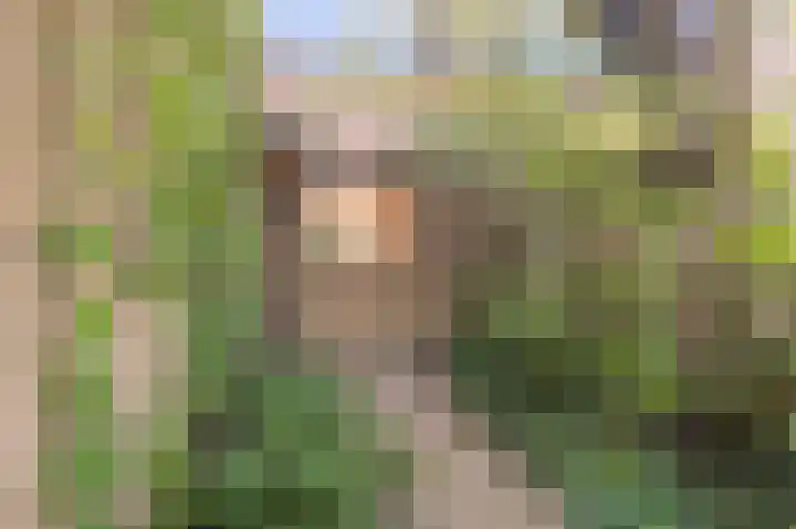 Appelboom 10 Culemborg thumbnail 5
