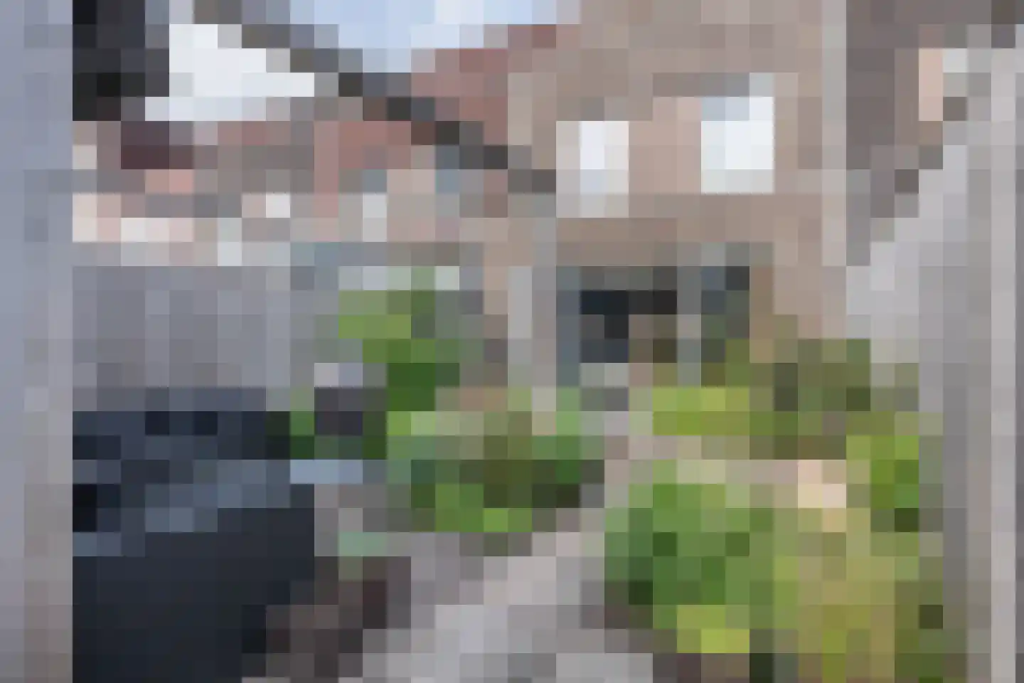 Appelboomstraat 65 IJmuiden thumbnail 12