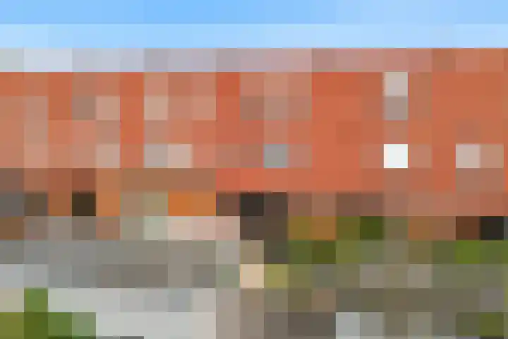 Appelboomstraat 74 IJmuiden thumbnail 16