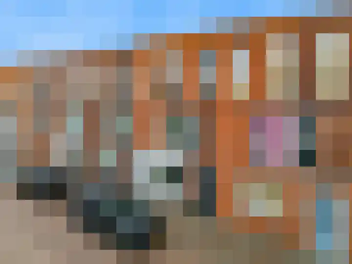 Appelboomstraat 74 IJmuiden thumbnail 40