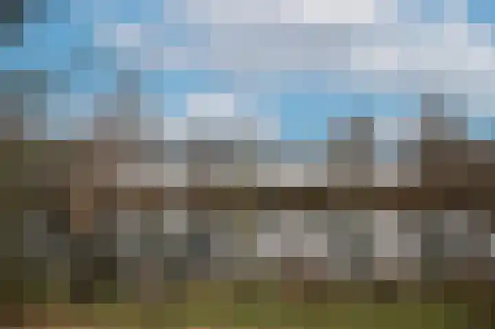Appeldijk 22 Heukelum thumbnail 40