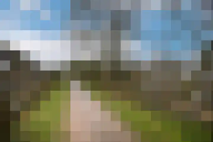 Appeldijk 22 Heukelum thumbnail 47