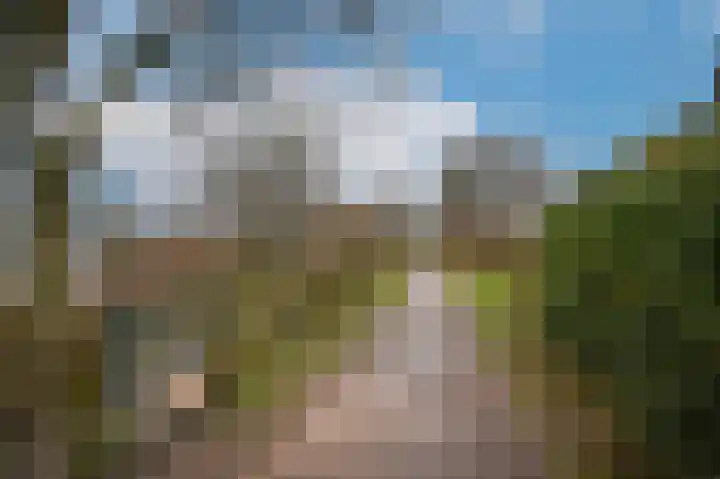 Appeldijk 22 Heukelum thumbnail 48