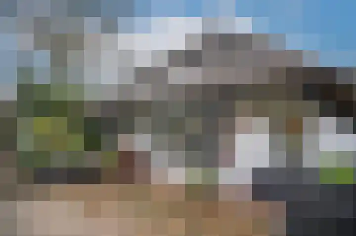 Appeldijk 22 Heukelum thumbnail 5