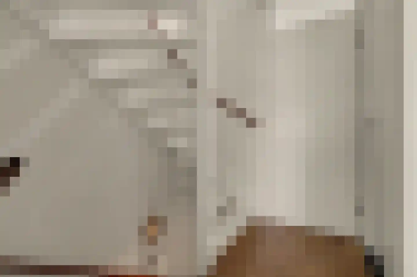 Appeldreef 33 Papendrecht thumbnail 16
