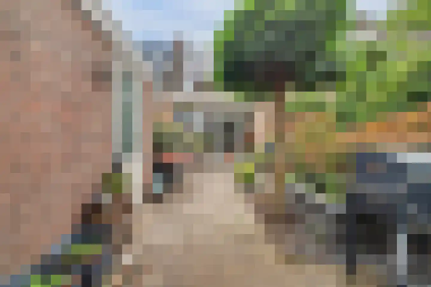 Appeldreef 33 Papendrecht thumbnail 25