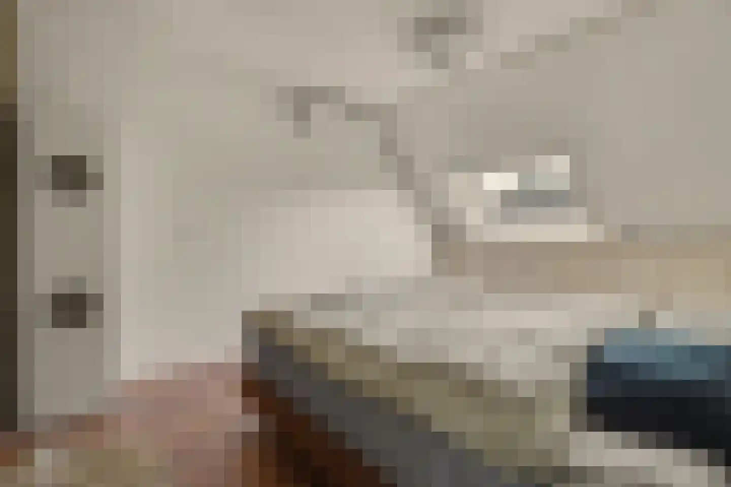 Appeldreef 33 Papendrecht thumbnail 6