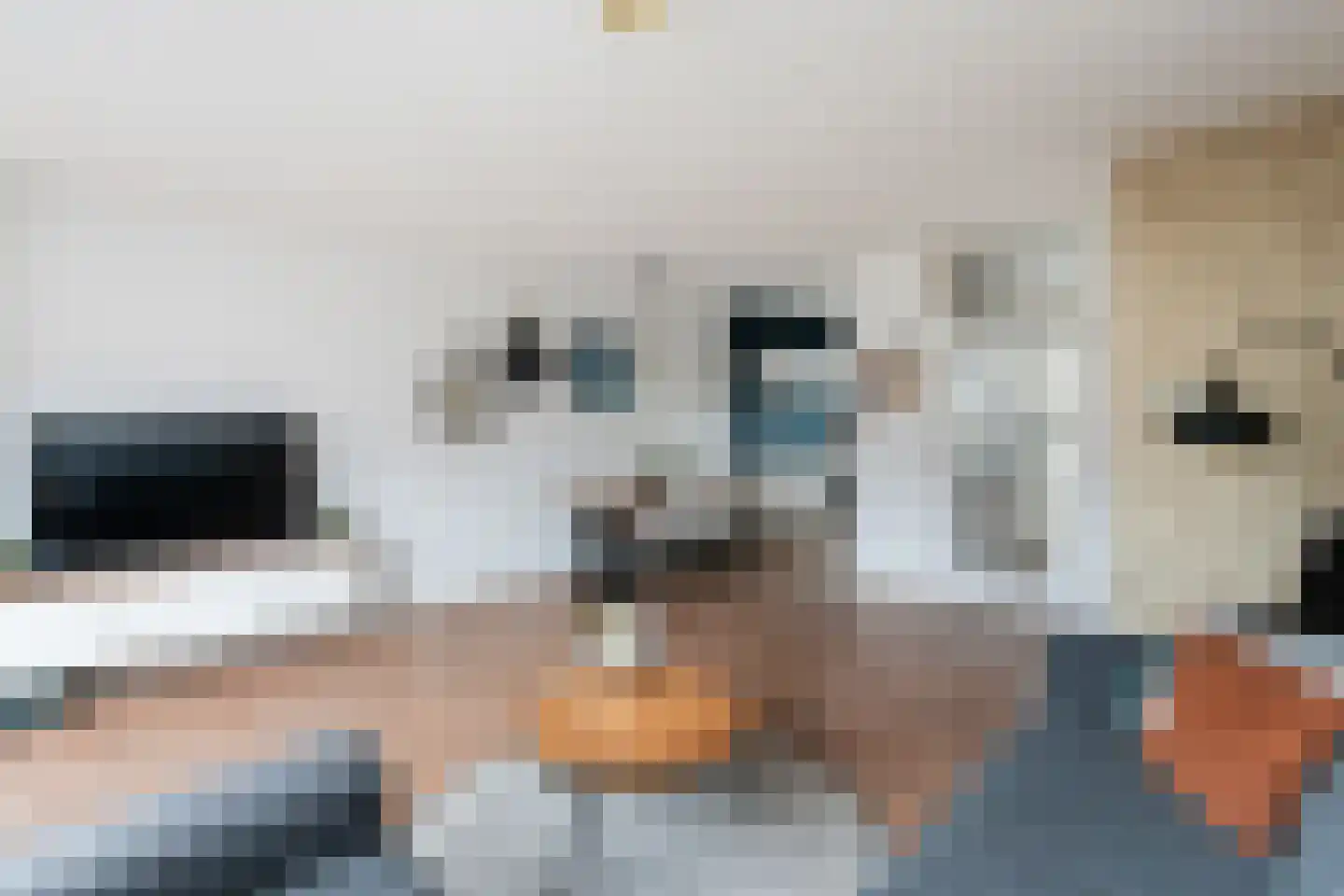 Appeldreef 7 Papendrecht thumbnail 11