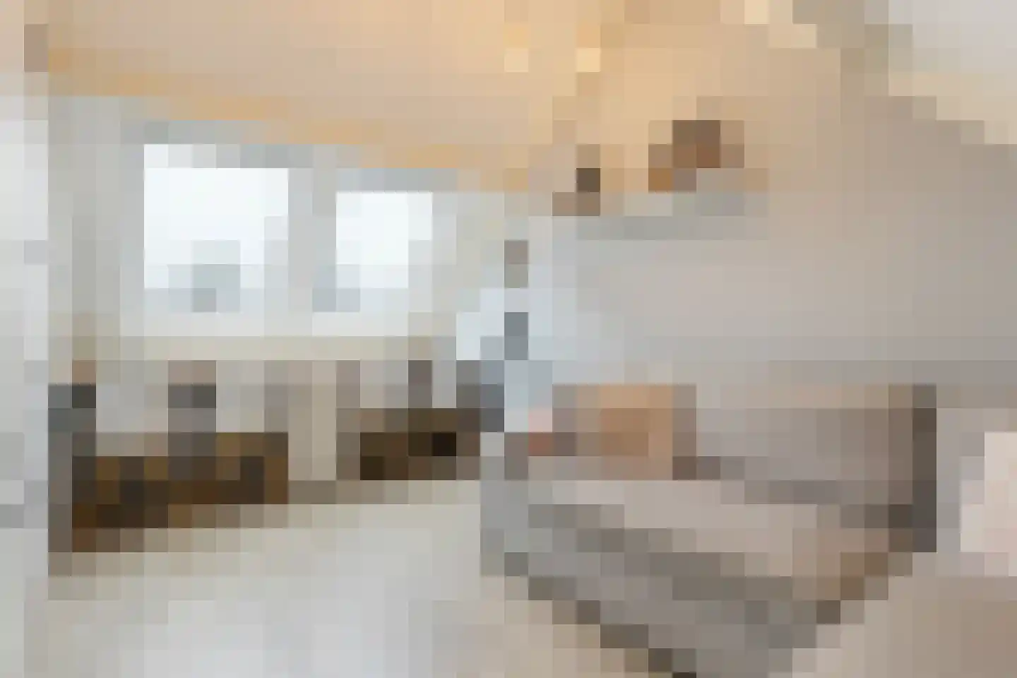 Appeldreef 7 Papendrecht thumbnail 28