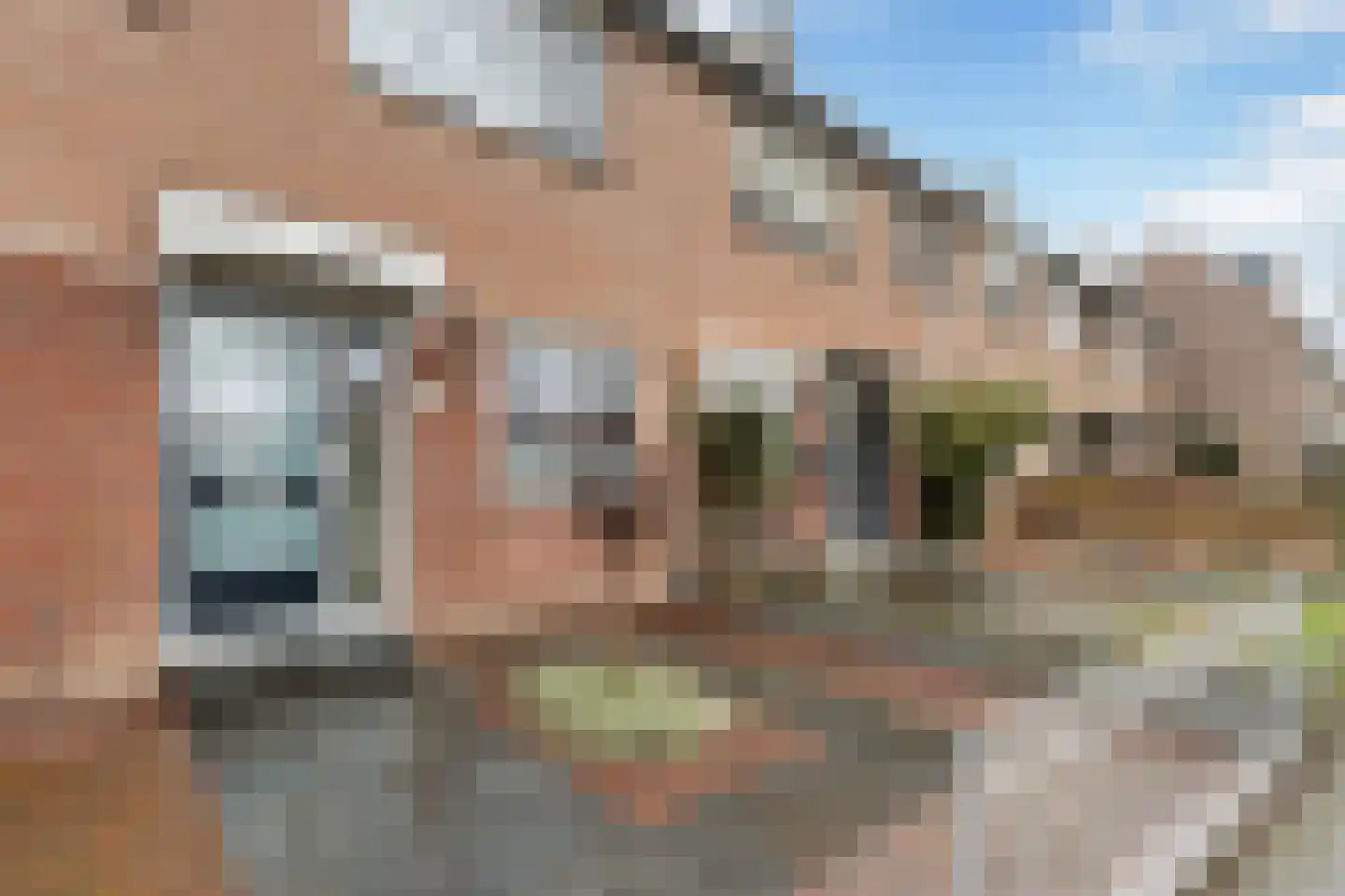 Appeldreef 7 Papendrecht foto 3