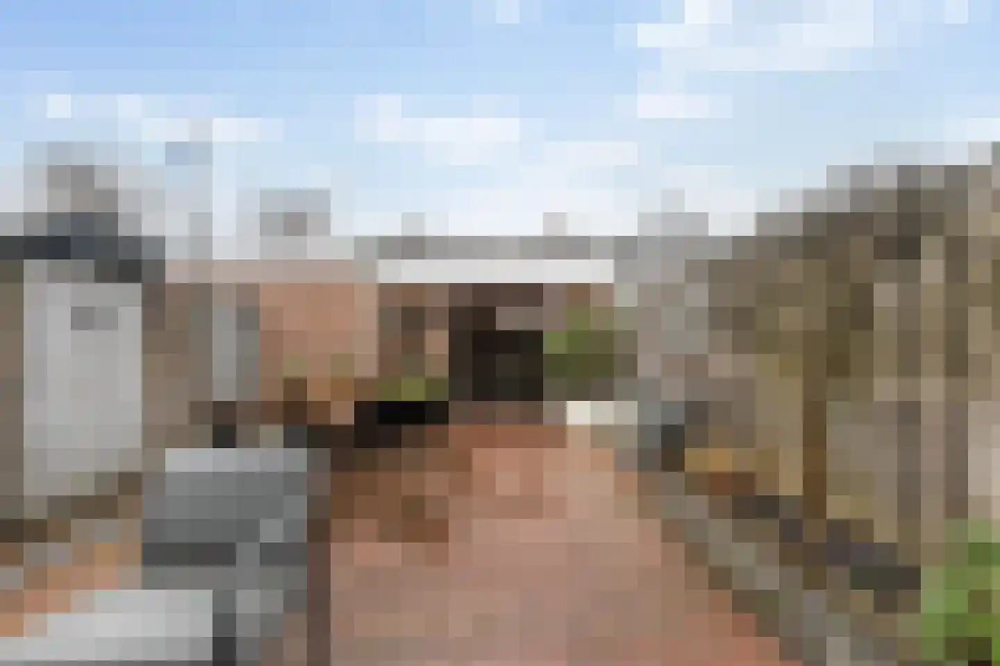 Appeldreef 7 Papendrecht thumbnail 31