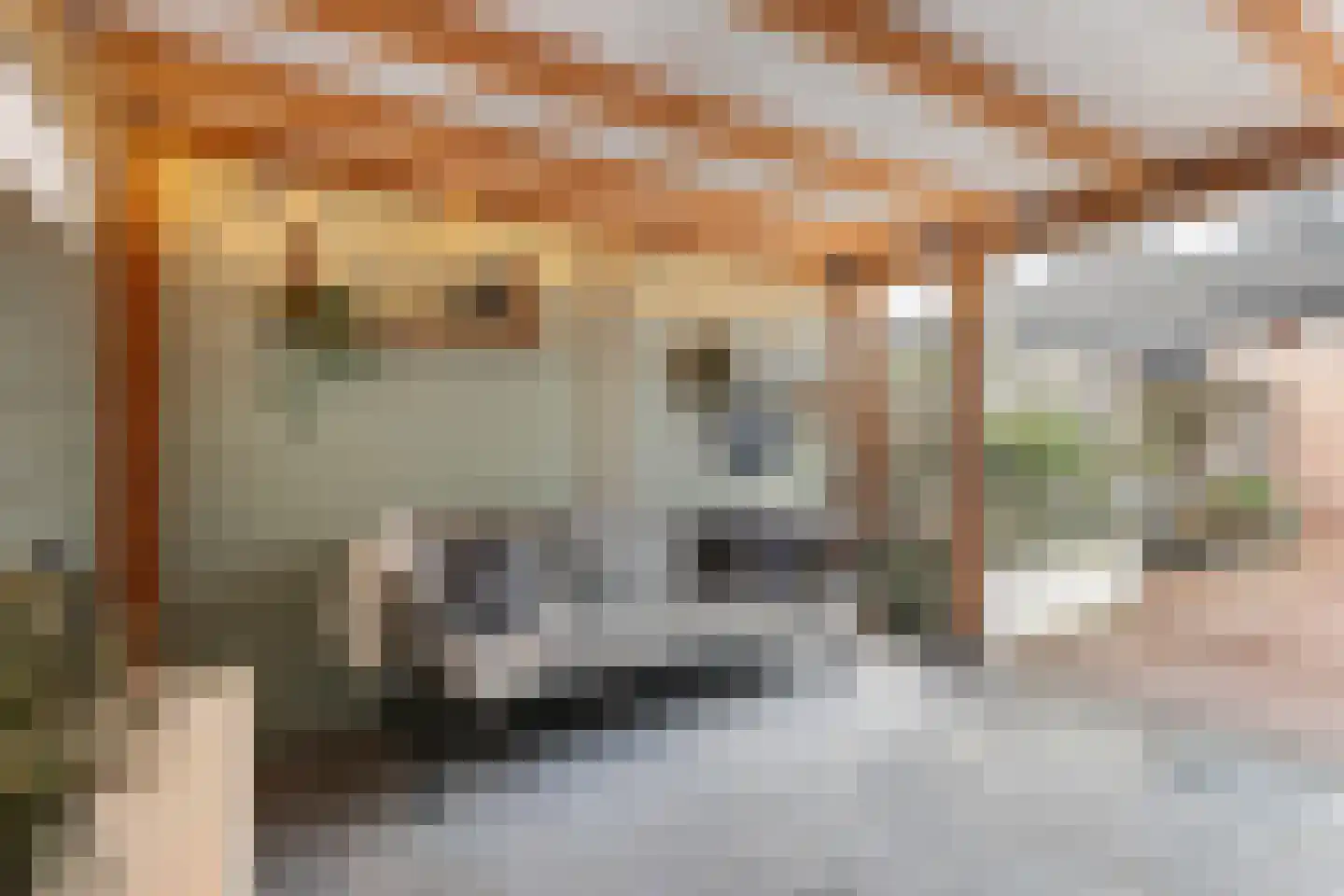 Appeldreef 7 Papendrecht thumbnail 36