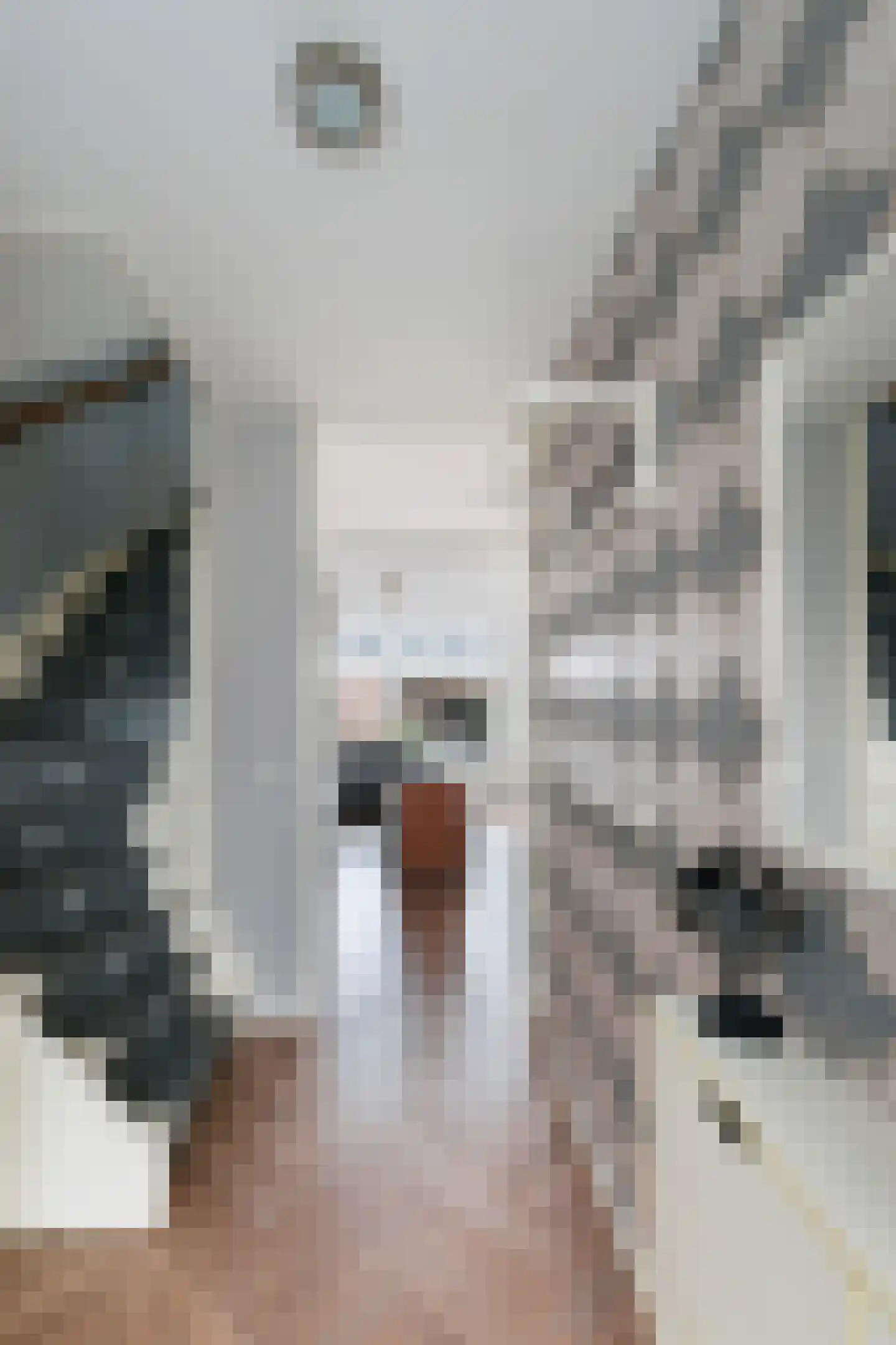 Appeldreef 7 Papendrecht thumbnail 4