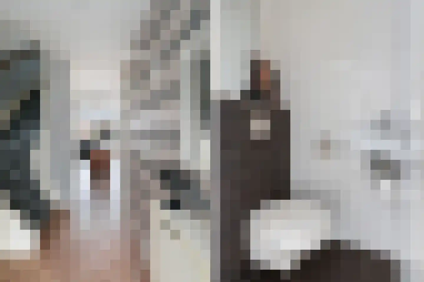 Appeldreef 7 Papendrecht thumbnail 5