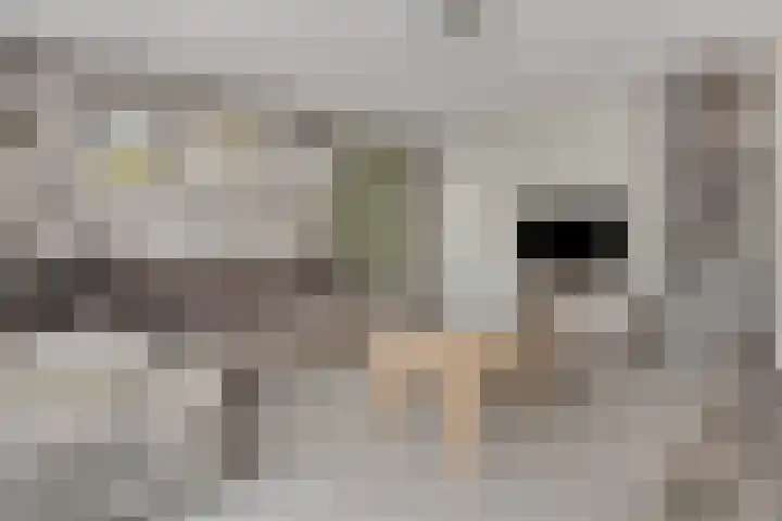 Appelenburg 17 Tuil thumbnail 11