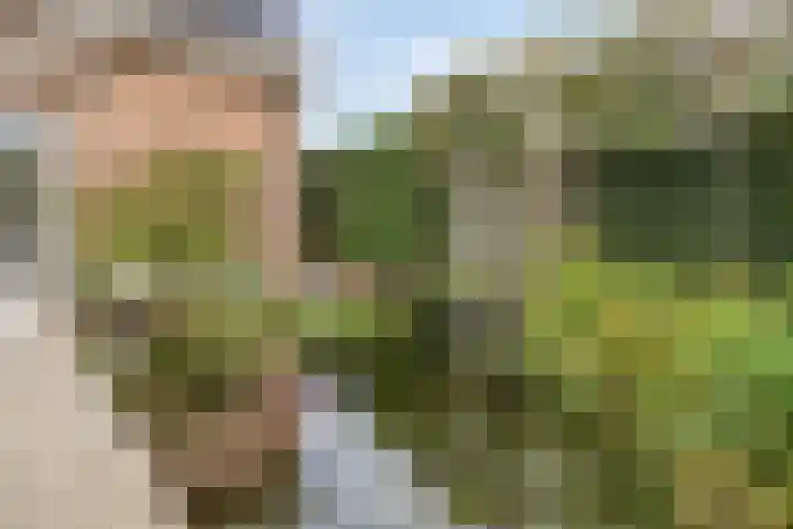 Appelenburg 17 Tuil thumbnail 34