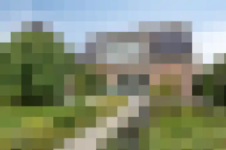 Appelenburg 17 Tuil thumbnail 36