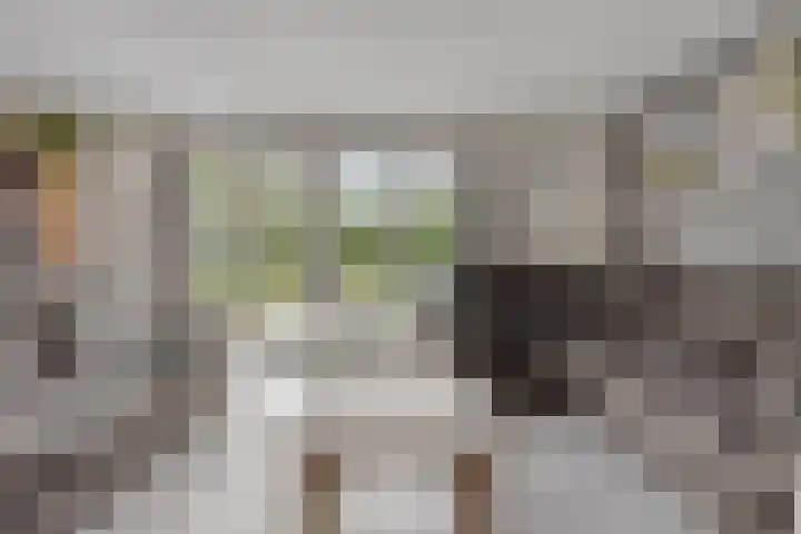 Appelenburg 17 Tuil thumbnail 9
