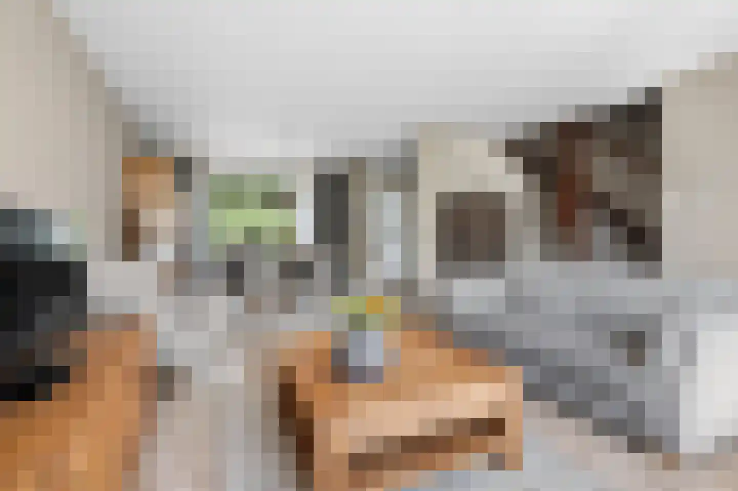 Appelgaard 1 Ochten thumbnail 12