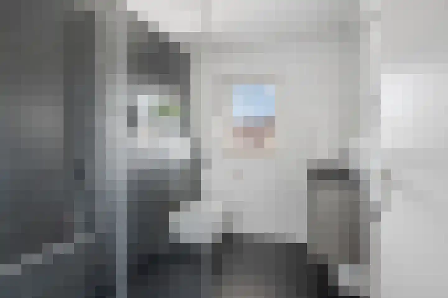Appelgaard 1 Ochten thumbnail 36