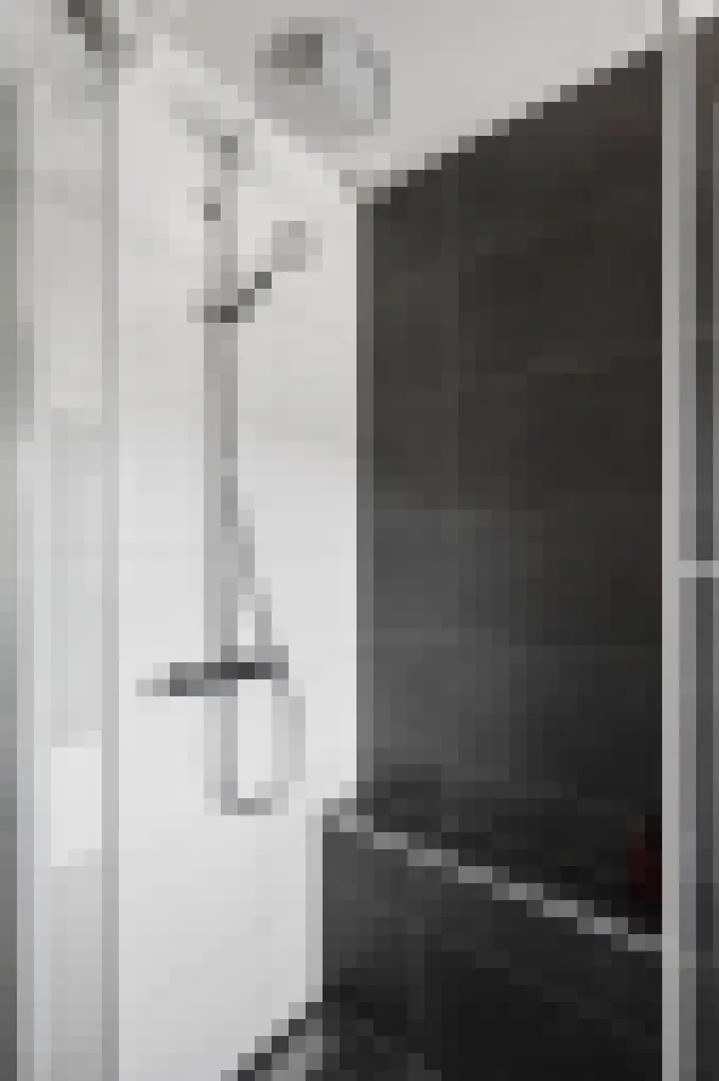 Appelgaard 1 Ochten thumbnail 37