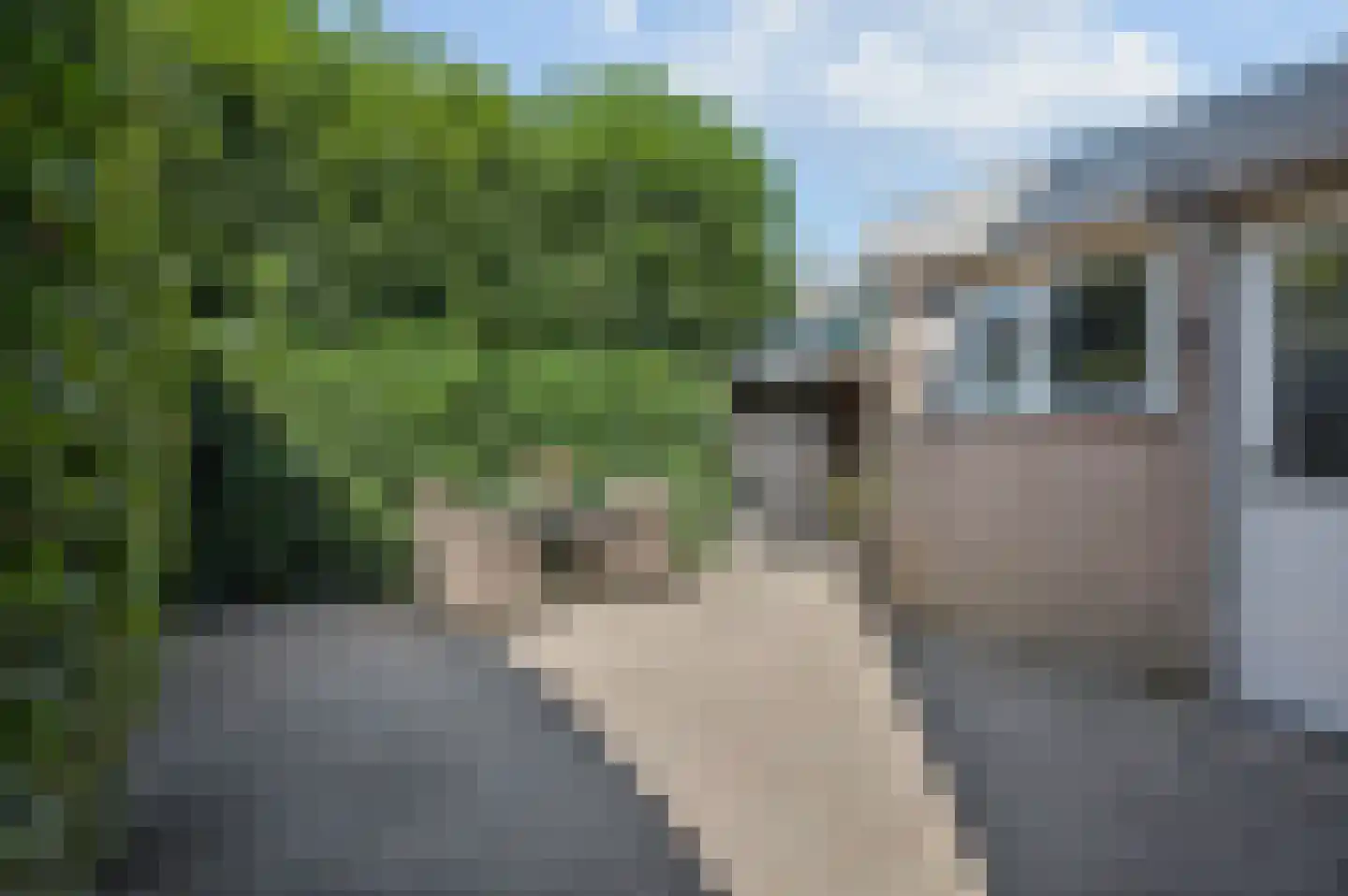 Appelgaard 1 Ochten thumbnail 44