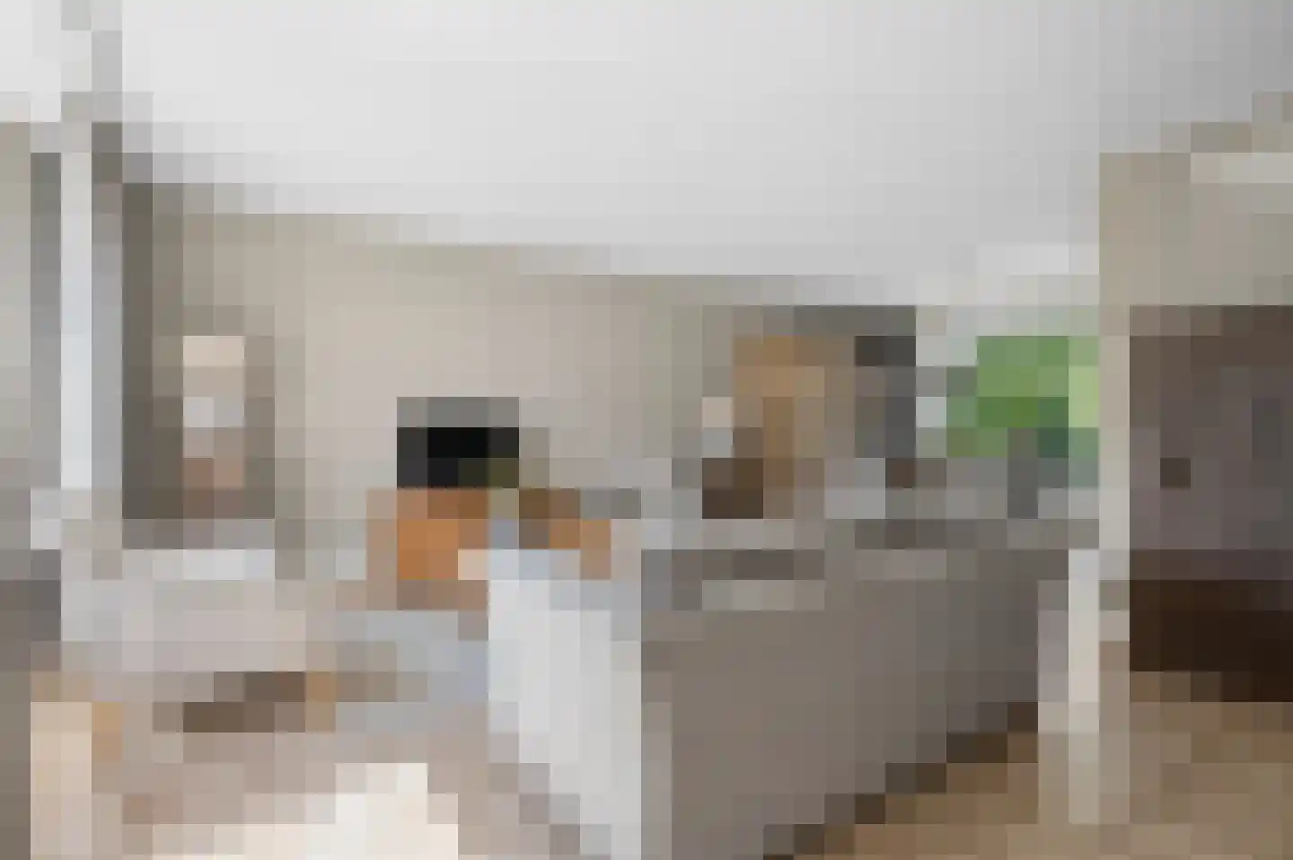 Appelgaard 1 Ochten thumbnail 9