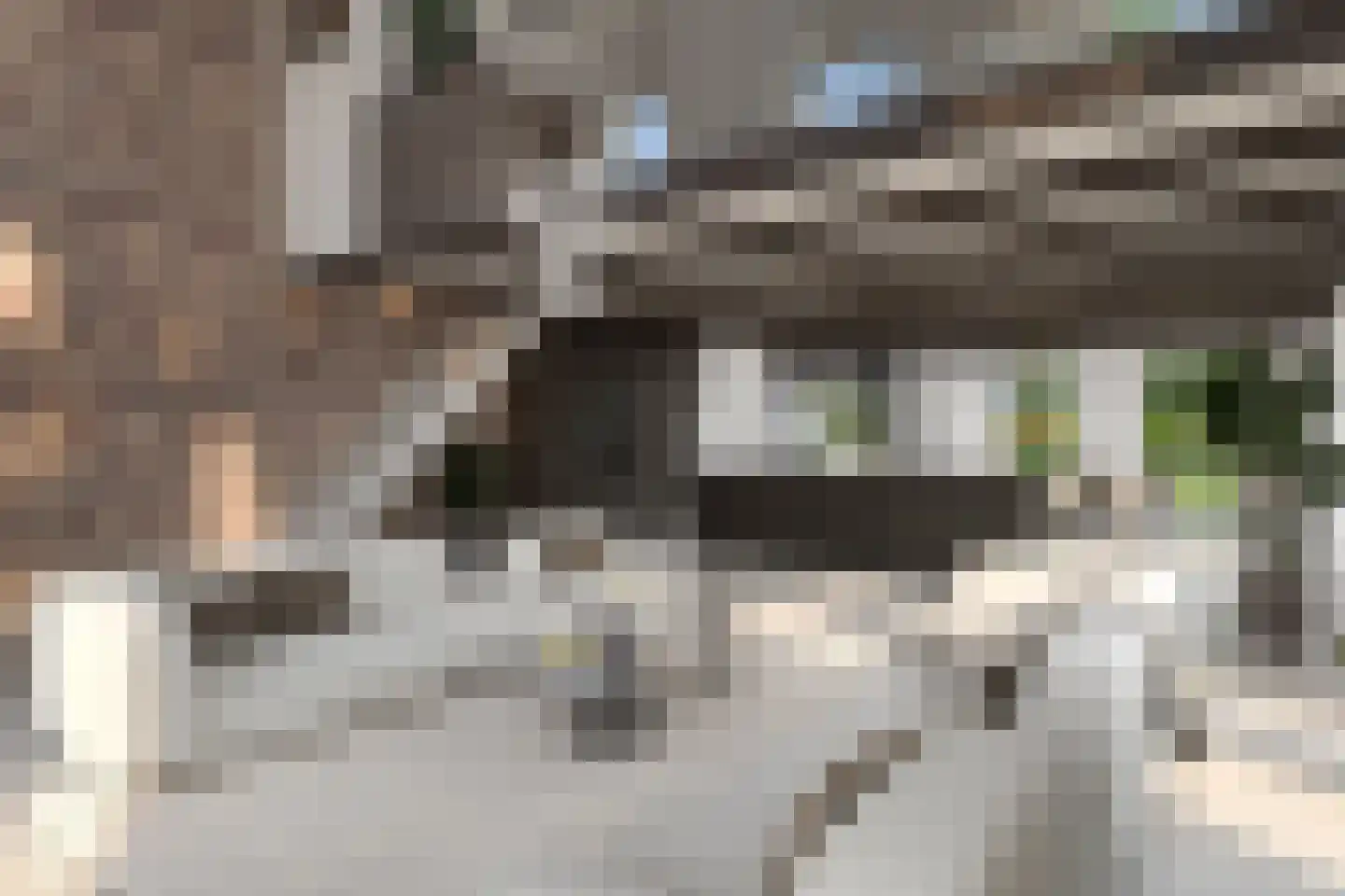 Appelgaard 13 Driebergen-Rijsenburg thumbnail 4