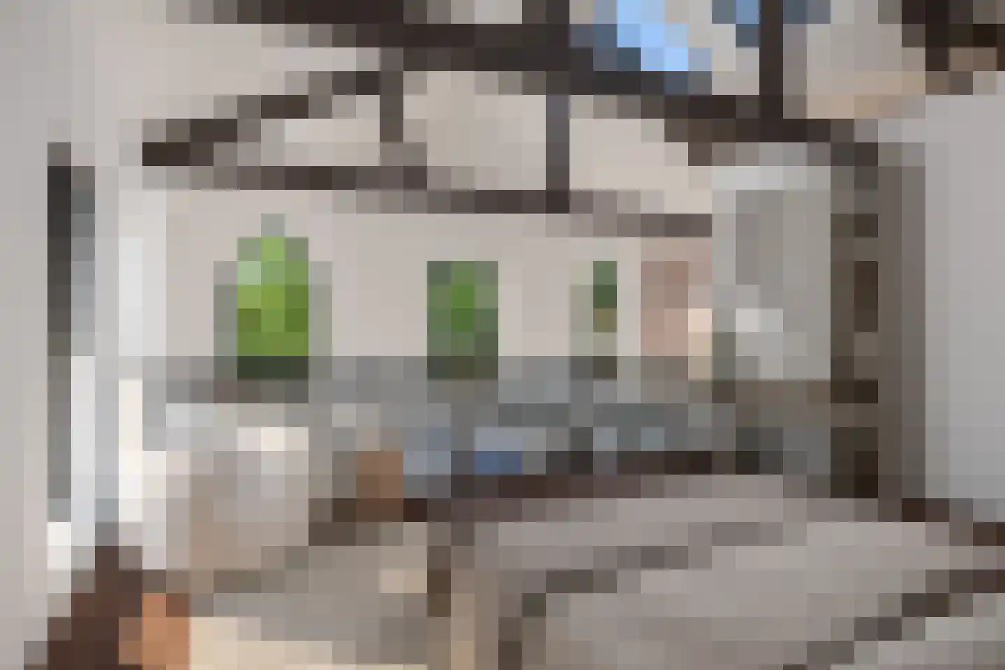 Appelgaard 13 Driebergen-Rijsenburg thumbnail 8
