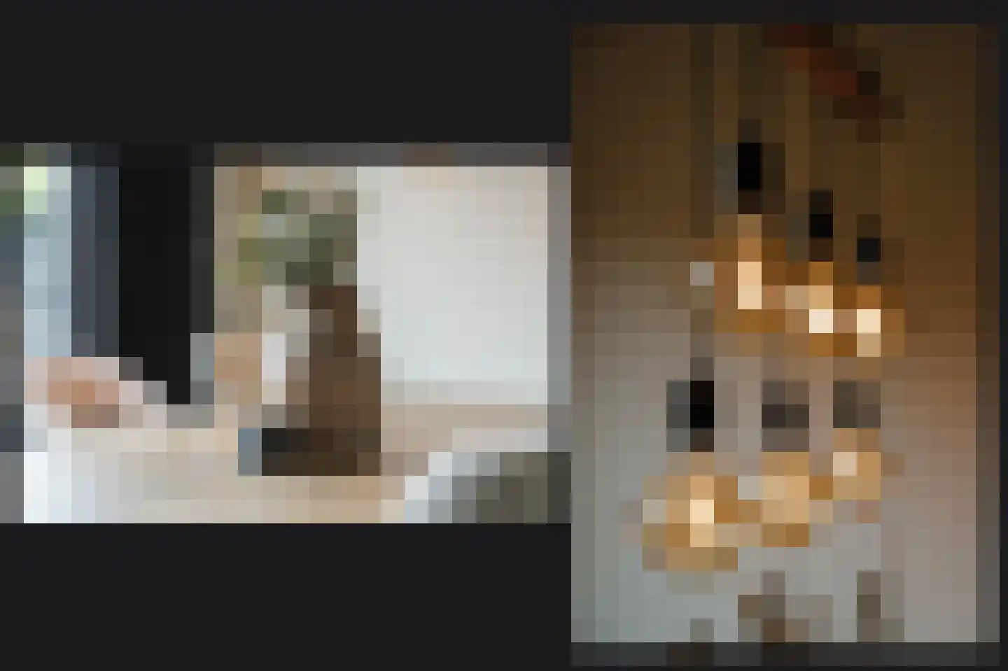 Appelgaard 15 Ochten thumbnail 18