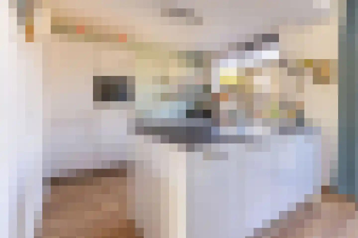 Appelgaard 16 Zwaag thumbnail 11