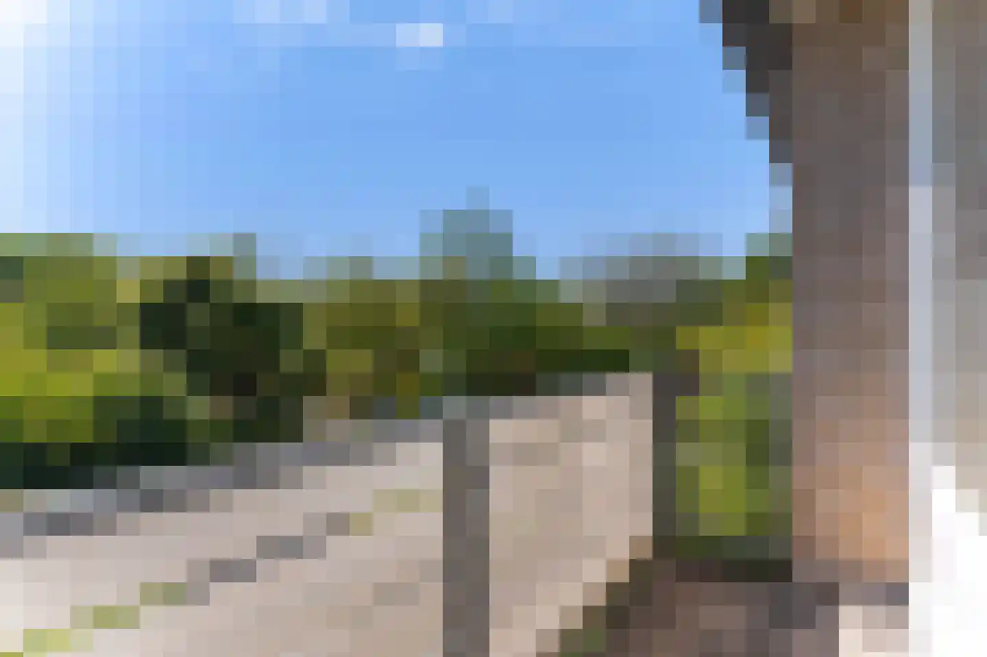 Appelgaard 16 Zwaag thumbnail 25