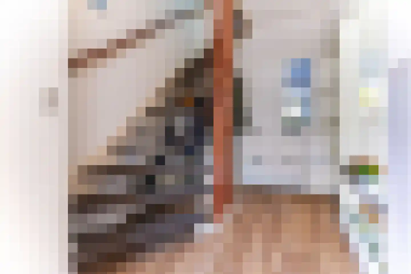 Appelgaard 16 Zwaag thumbnail 5