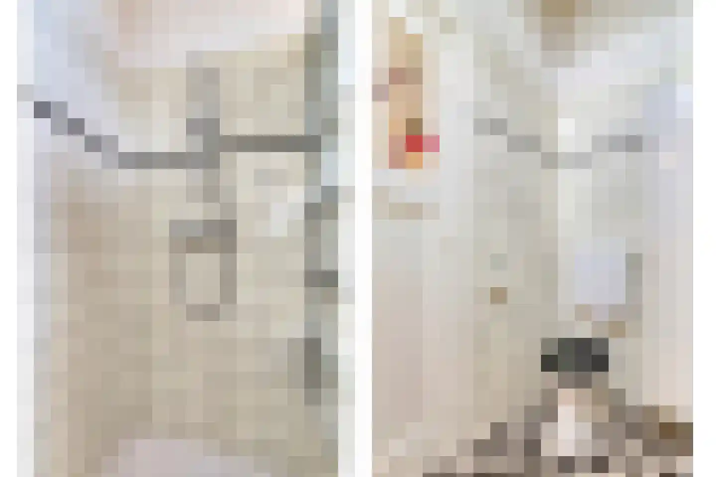 Appelgaard 17 Arcen thumbnail 14
