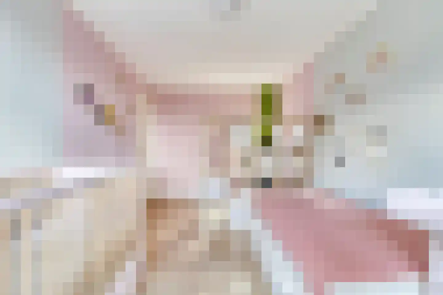 Appelgaard 17 Arcen thumbnail 18