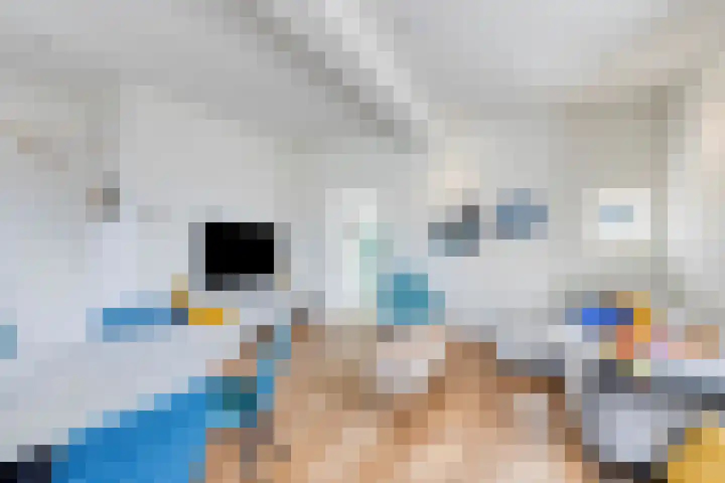 Appelgaard 17 Arcen thumbnail 5