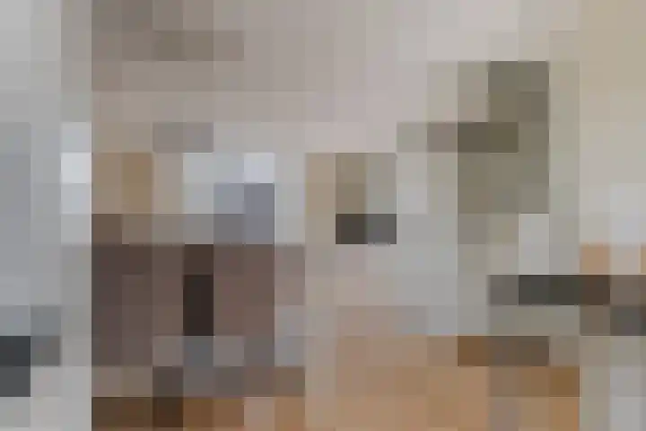 Appelgaard 2 C Heerjansdam thumbnail 11