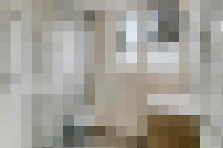 Appelgaard 2 C Heerjansdam thumbnail 17