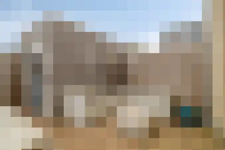 Appelgaard 2 C Heerjansdam thumbnail 24